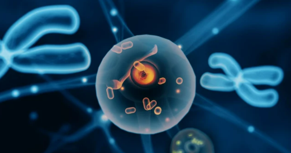 自身抗体及其临床意义